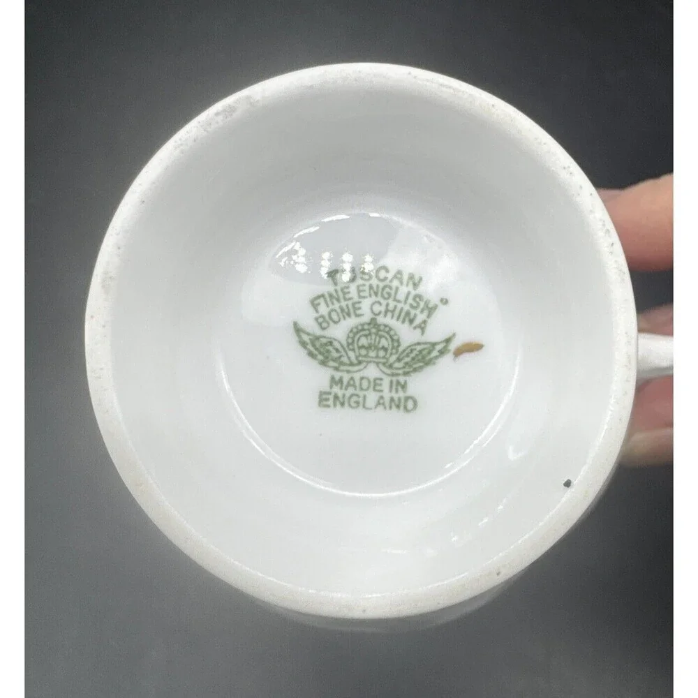 Tuscan BLACK & WHITE Countryside Fine Bone China‎ Tea Cup & Saucer England